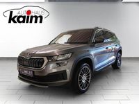 Gebraucht Skoda Kodiaq Style 150 PS (110 kW) 2023 Graphitegrau metallic (metallic) SUV
