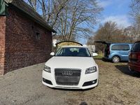 Gebraucht Audi A3 Basis 125 PS (91 kW) 2009 Weiß Kleinwagen