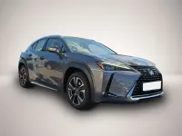 Gebraucht Lexus UX 250h Luxury Line 145 PS (106 kW) 2019 Grau SUV