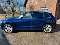 Gebraucht Audi SQ5 360 PS (264 kW) 2014 Blau SUV