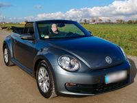 gebraucht VW Beetle 1.2 TSI BMT Cabrio, Klimaautomatik, Navi,