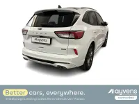 Gebraucht Ford Kuga ST-Line X 152 PS (111 kW) 2023 Weiß SUV