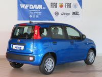 Neu Fiat Panda Urban 69 PS (50 kW) 2025 Blau Limousine
