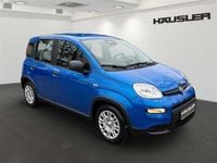 Gebraucht Fiat Panda 70 PS (51 kW) 2024 Blau Limousine