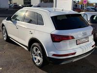 Gebraucht Audi Q5 Advanced 204 PS (150 kW) 2021 Ibisweiß (metallic) SUV