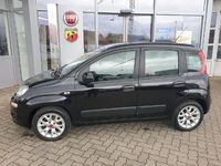 Gebraucht Fiat Panda Lounge 69 PS (50 kW) 2016 Colore esterno (cinema schwarz Kleinwagen