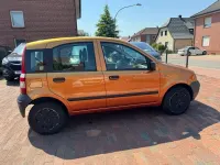 Gebraucht Fiat Panda Active 54 PS (39 kW) 2007 Orange Kleinwagen