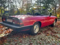 Gebraucht Alfa Romeo Spider 103 PS (75 kW) 1986 Rot Cabrio
