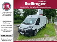Gebraucht Fiat Ducato 140 PS (102 kW) 2024 Weiß Van