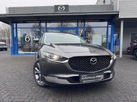 Gebraucht Mazda CX-30 Selection 179 PS (131 kW) 2020 Grau SUV