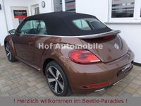 Gebraucht VW Beetle Allstar 150 PS (110 kW) 2017 Braun Kleinwagen