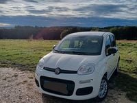 Gebraucht Fiat Panda Easy 69 PS (50 kW) 2019 Weiß Kleinwagen