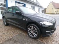 gebraucht Jaguar F-Pace Pure AWD Xenon AHK NAVI PARK RFK gepflegt.