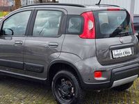 gebraucht Fiat Panda 4x4 Wild