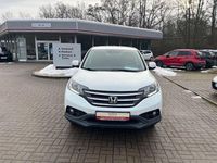 Gebraucht Honda CR-V Elegance 120 PS (88 kW) 2014 White orchid pearl SUV