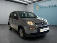 Gebraucht Fiat Panda 69 PS (50 kW) 2023 Grau Kleinwagen