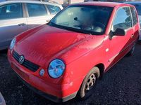 Używany VW Lupo Basis 50 KM (36 kW) 1999 Czerwony Hatchback