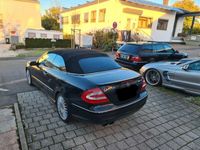 gebraucht Mercedes CLK55 AMG AMG 420PS*BLACK SERIES SOUND*2000WATT