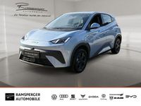 Gebraucht BYD Dolphin Surf Boost 64 kW (88 PS) 2025 Blau (ice blue) Kleinwagen
