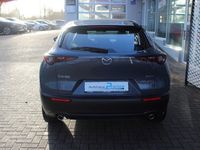 gebraucht Mazda CX-30 Exclusive-line