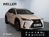 Gebraucht Lexus UX 250h 184 PS (135 kW) 2021 Weiss SUV