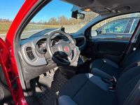 Gebraucht Fiat Panda Easy 69 PS (50 kW) 2017 Amore rot Kleinwagen