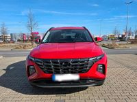 Gebraucht Hyundai Tucson Select 150 PS (110 kW) 2023 Rot SUV