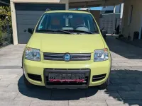 Gebraucht Fiat Panda 4x4 Climbing 60 PS (44 kW) 2005 Grün Kleinwagen