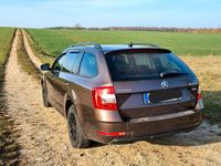 Gebraucht Skoda Octavia Drive 150 PS (110 kW) 2017 Braun Kombi