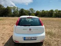 Gebraucht Fiat Punto Lounge 77 PS (56 kW) 2016 Weiß Kleinwagen