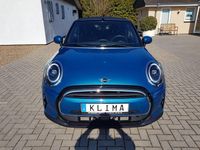Gebraucht Mini One Cabriolet 102 PS (75 kW) 2022 Blau Cabrio