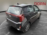 Neu Kia Picanto Vision 79 PS (58 kW) 2026 Kleinwagen