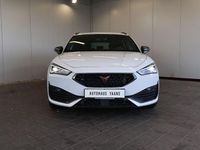 Usata Cupra Leon 150 CV (110 kW) 2024 Bianco Berlina
