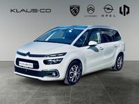 Gebraucht Citroën C4 Shine 150 PS (110 kW) 2019 Beige Van / Kleinbus