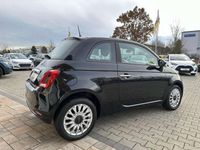 gebraucht Fiat 500 1.0 Hybrid Lounge *Navi, Klima, Einparkhilfe