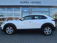 Gebraucht Mazda CX-30 Selection 186 PS (136 kW) 2021 Snowflake white metallic (metallic) SUV