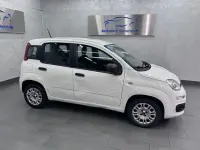 Gebraucht Fiat Panda 69 PS (50 kW) 2020 Weiß Kleinwagen