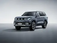 Neu Baic BJ60 256 PS (188 kW) 2026 Grau SUV