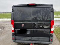 Gebraucht Fiat Ducato 150 PS (110 kW) 2014 Van