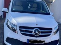 Gebraucht Mercedes E250 Avantgarde Edition 190 PS (139 kW) 2023 Kombi