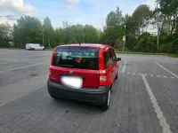 Usata Fiat Panda 54 CV (39 kW) 2009 Rosso Utilitaria