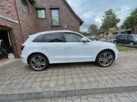 Gebraucht Audi SQ5 Ambiente 245 PS (180 kW) 2013 Weiß SUV