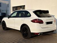 Gebraucht Porsche Cayenne S 382 PS (280 kW) 2014 Weiß SUV
