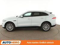 Gebraucht Jaguar F-Pace Portfolio 241 PS (177 kW) 2017 Weiß SUV