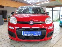 gebraucht Fiat Panda 1,2 City *KLIMA*1 HAND*WENIG KM*TÜV NEU*