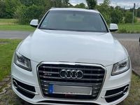 Gebraucht Audi SQ5 Sport 313 PS (230 kW) 2013 Weiß SUV