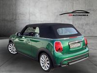 Gebraucht Mini Cooper Cabriolet 136 PS (100 kW) 2023 Grün Cabrio