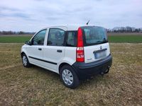 Gebraucht Fiat Panda 55 PS (40 kW) 2009 Weiß Kleinwagen