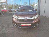 Gebraucht Honda CR-V Elegance 185 PS (136 kW) 2021 Braun SUV