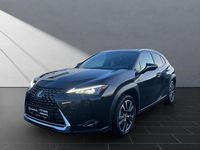 Gebraucht Lexus UX 250h 184 PS (135 kW) 2023 Schwarz SUV